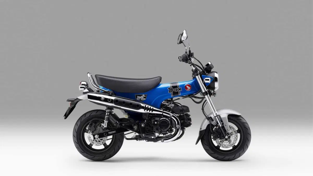 Honda Dax 125 Dax 125 (2023 - 24) (4)