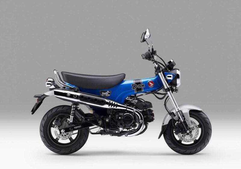 Honda Dax 125 Dax 125 (2023 - 24) (4)