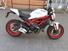 Ducati Monster 797 Plus (2019) (6)