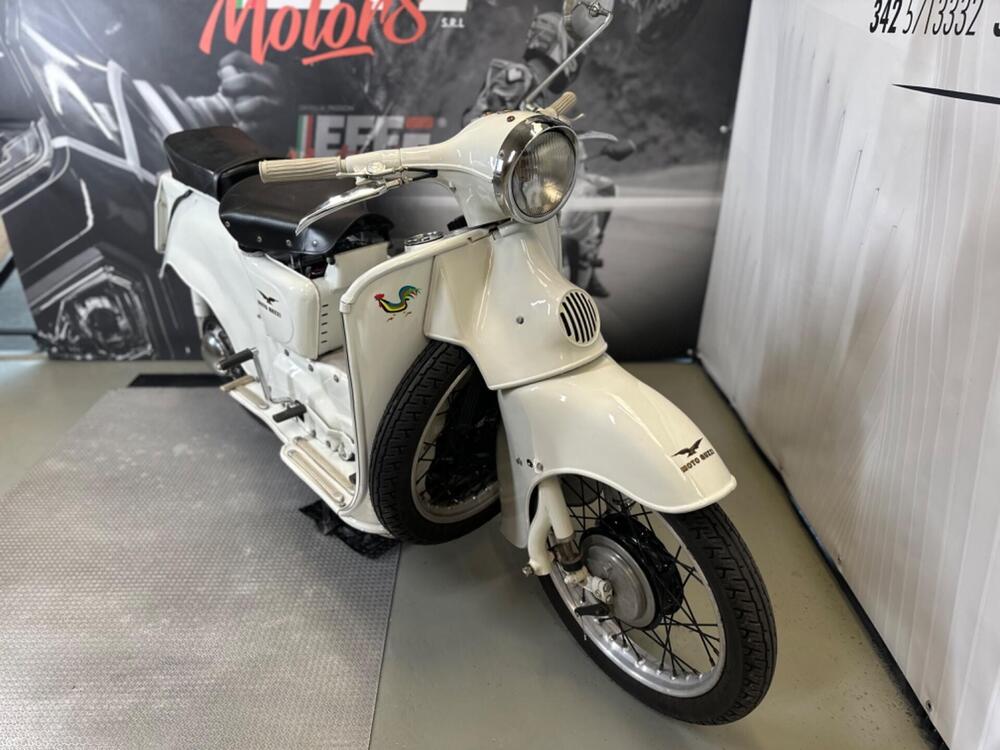 Moto Guzzi GALLETTO 192 (3)