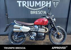 Triumph Scrambler 1200 X (2024) usata