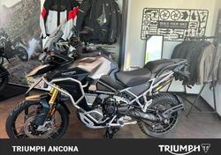 Triumph Tiger 1200 Rally Explorer (2024) usata