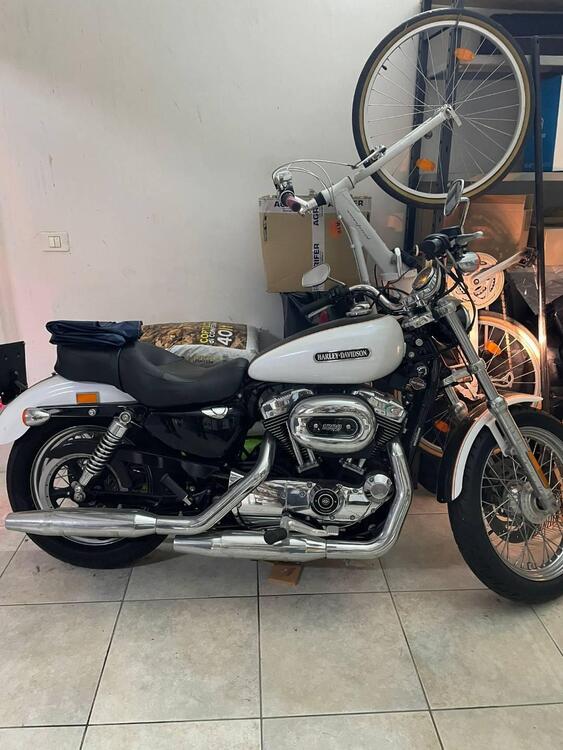 Harley-Davidson 1200 Low (2006 - 07) - XL 1200L