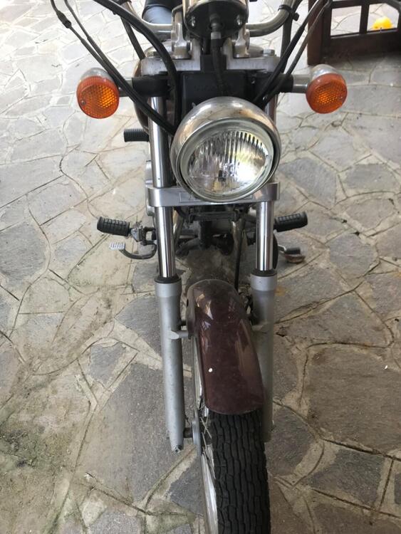 Honda Rebel 250 (2000 - 03) (4)