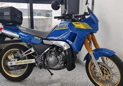 Yamaha TDR 250 d'epoca