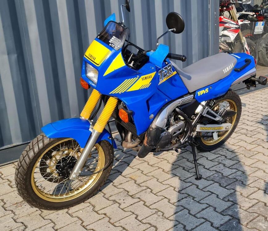 Yamaha TDR 250 (3)