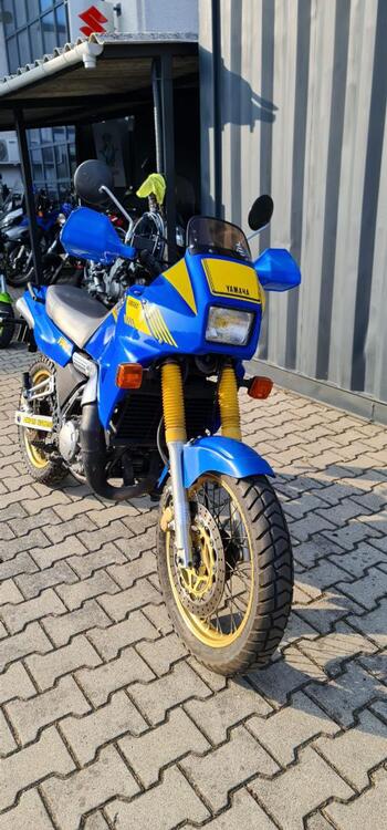 Yamaha TDR 250 (4)