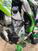 Kawasaki KX 250 F (2018) (6)