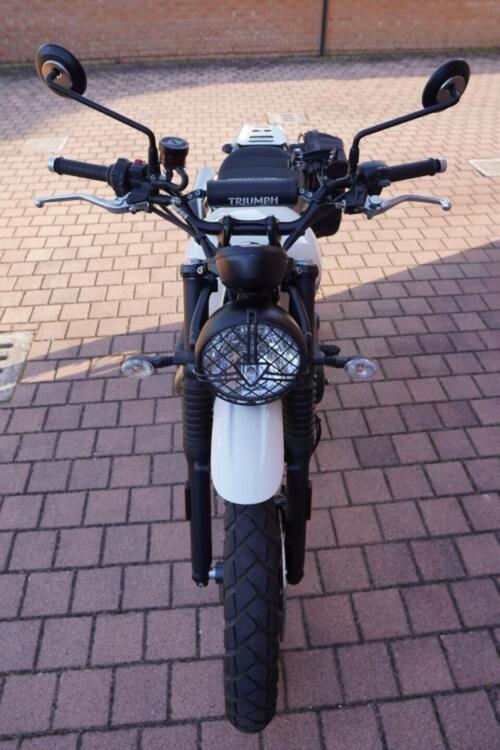 Triumph Street Scrambler 900 (2019 - 20) (3)