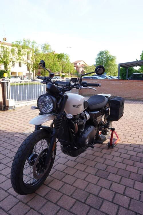 Triumph Street Scrambler 900 (2019 - 20) (5)