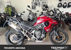 Triumph Tiger 1200 GT Pro (2024) usata