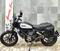 Ducati Scrambler 800 Icon (2015 - 16) (8)