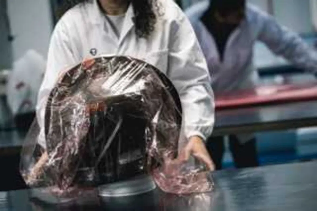 Come può un casco costare 1.500 euro? Vi sveliamo i segreti dello Schuberth C5 Carbon (9)