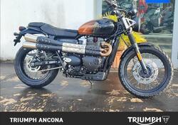 Triumph Scrambler 900 Stealth Edition (2024) usata