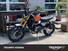 Triumph Scrambler 1200 XE (2024) (7)