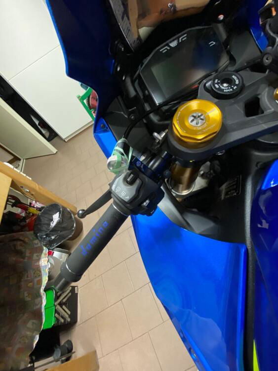 Suzuki GSX R 1000 (2017 - 18) (3)