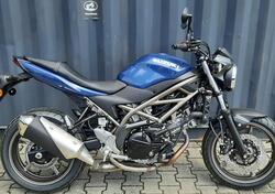 Suzuki SV650 (2021 - 24) nuova