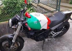 Ducati Monster 600 (1994 - 02) usata