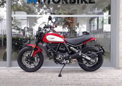 Ducati Scrambler 800 Icon (2021 - 22) usata