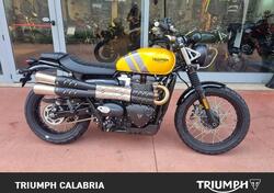 Triumph Scrambler 900 (2023 - 24) nuova