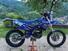 Yamaha WR 250 F (2018) (11)