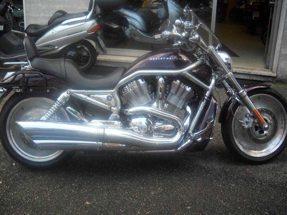 Harley-Davidson 1130 V-Rod (2002 - 05) - VRSCA (5)