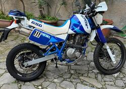 Suzuki DR 650 RS (1989 - 90) usata