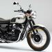 Kawasaki W800 Limited Edition