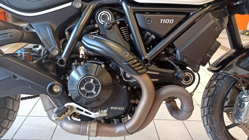 Ducati Scrambler 1100 Pro (2020 - 22) (4)
