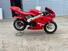  Altre moto o tipologie Minimoto (7)