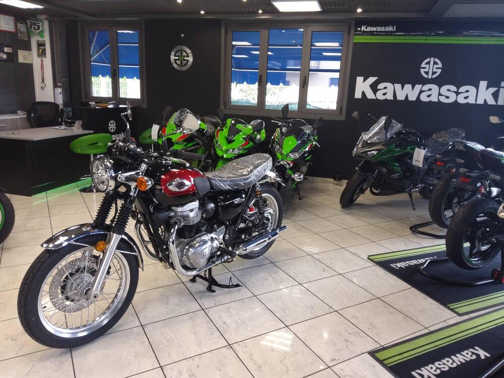 Kawasaki W 800 (2021 - 25) (4)