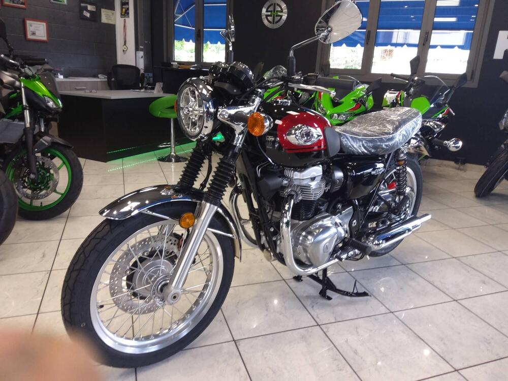 Kawasaki W 800 (2021 - 24) (5)