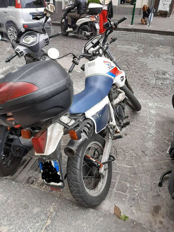 Honda XL 600 RM (1985 - 89) (3)