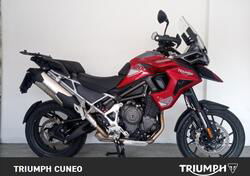 Triumph Tiger 1200 GT Pro (2024) usata