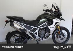 Triumph Tiger 1200 Rally Pro (2024) usata