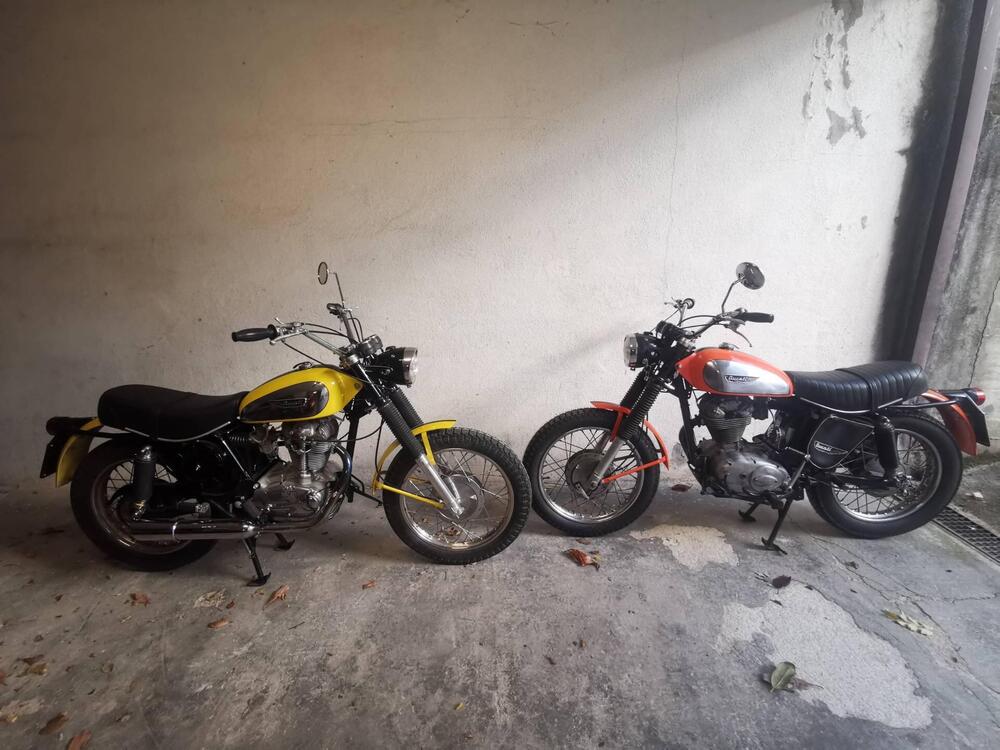 Ducati Scrambler 350