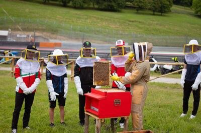 MotoGP 2024. GP d&#039;Italia. I piloti al Mugello diventano... apicoltori!