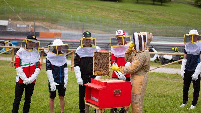 MotoGP 2024. GP d&#039;Italia. I piloti al Mugello diventano... apicoltori!