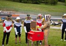 MotoGP 2024. GP d'Italia. I piloti al Mugello diventano... apicoltori!