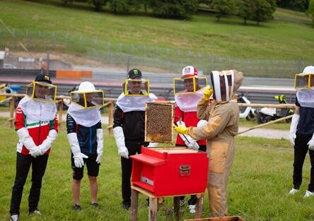 I piloti al Mugello diventano... apicoltori!