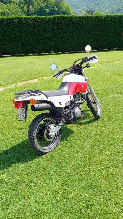 Yamaha XT 600 E (1990 - 04) (2)