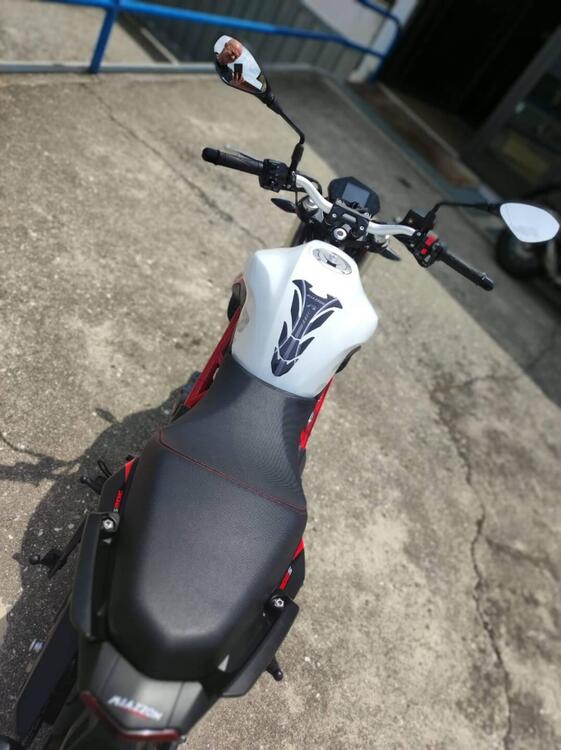 Benelli BN 302 S (2019 - 20) (5)