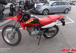 Honda XR 125 L (2003 - 05) usata