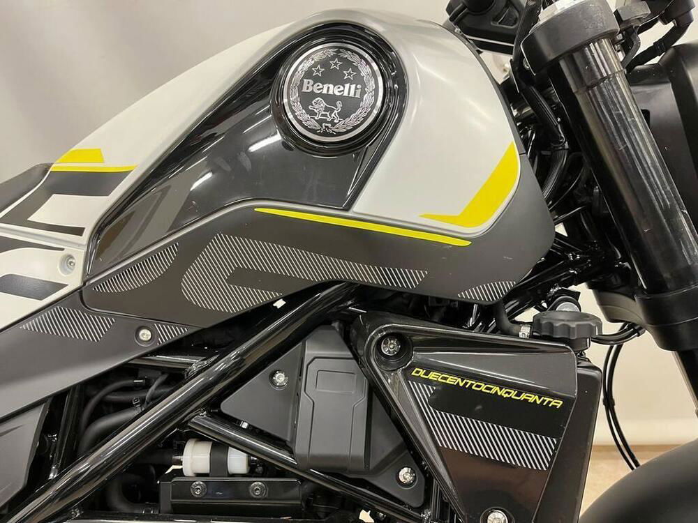 Benelli Leoncino 250 (2019 - 20) (4)