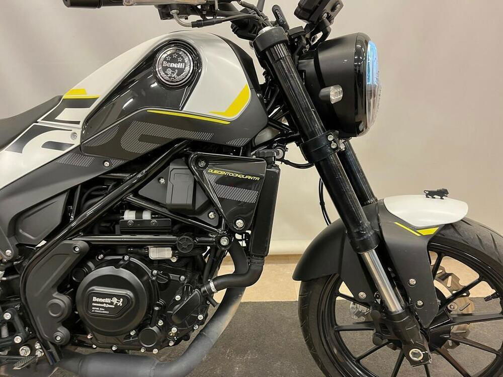 Benelli Leoncino 250 (2019 - 20) (3)