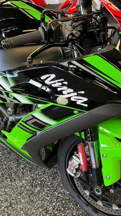 Kawasaki Ninja 1000 ZX-10R KRT Replica (2017 - 18) (5)