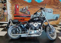 Harley-Davidson 1200 Roadster (2006 - 08) - XL 1200R usata