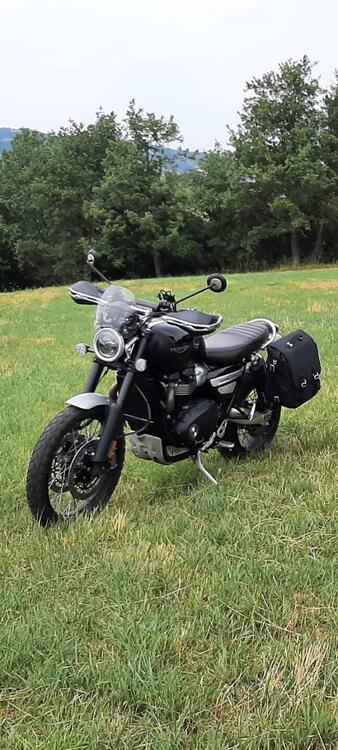 Triumph Scrambler 1200 XC (2021 - 23) (5)