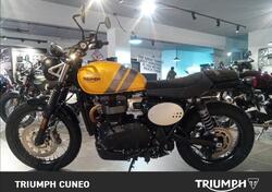 Triumph Scrambler 900 (2023 - 24) nuova