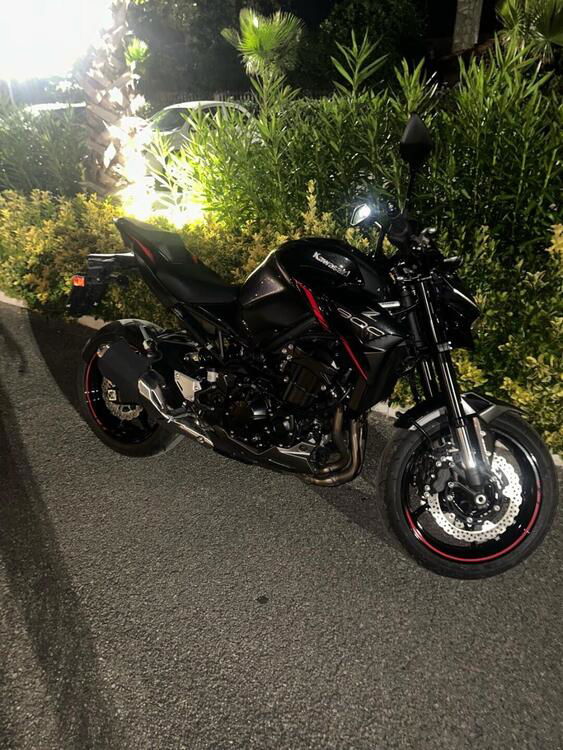 Kawasaki Z 900 A2 Performance (2021 - 24) (2)